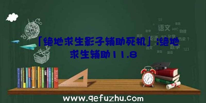 「绝地求生影子辅助死机」|绝地求生辅助11.8